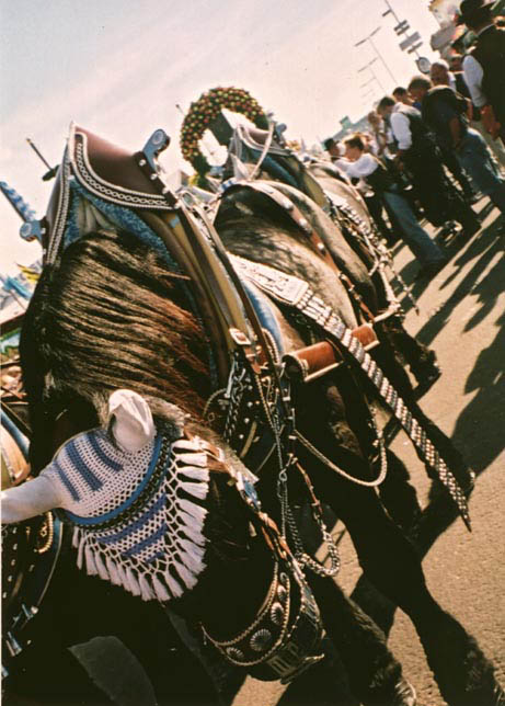 Oktoberfest_beerhorse
