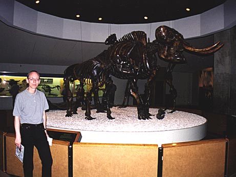 J&oslash;rund and a mastodont skeleton