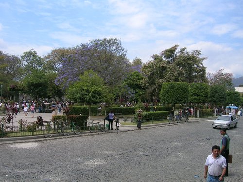 Antigua 029.jpg
