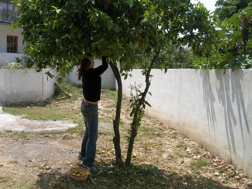 Atitlan 054.jpg