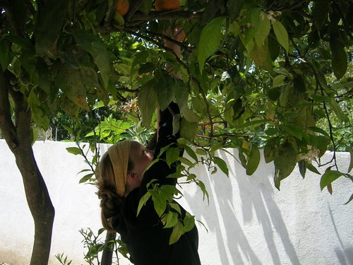 Atitlan 056.jpg
