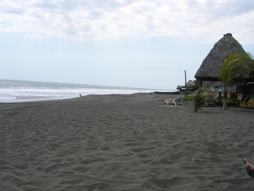 Monterrico 001.jpg