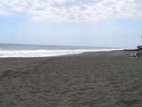 Monterrico 004.jpg