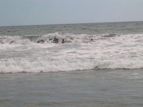 Monterrico 018.jpg