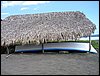 Monterrico 002.jpg