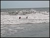 Monterrico 017.jpg