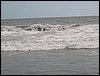 Monterrico 018.jpg