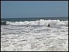 Monterrico 019.jpg