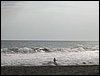 Monterrico 020.jpg