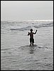 Monterrico 022.jpg