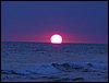 Monterrico 036.jpg