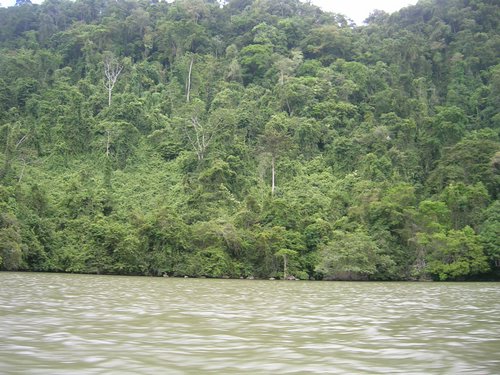 Rio_Dulce 004.jpg