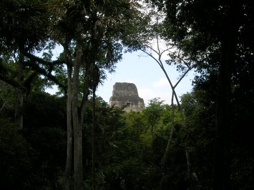tikal 008.jpg