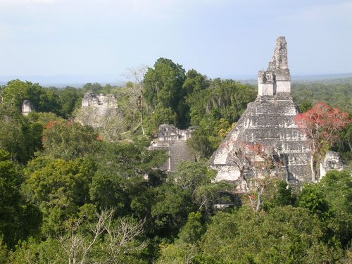 tikal 015.jpg