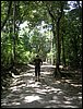 tikal 003.jpg