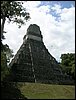 tikal 005.jpg
