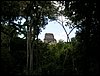 tikal 008.jpg