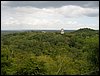 tikal 009.jpg