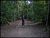 tikal 017.jpg