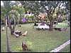 Omoa 012.jpg