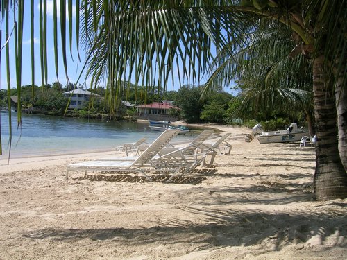 Roatan 038.jpg