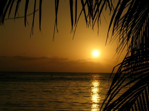 Roatan 063.jpg