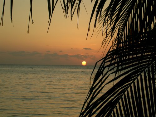 Roatan 065.jpg