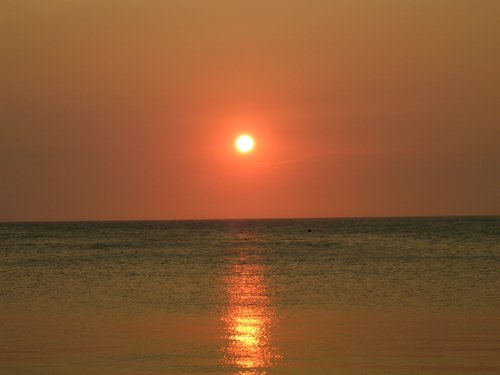 Roatan 076.jpg