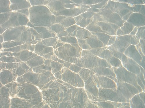 Roatan 108.jpg