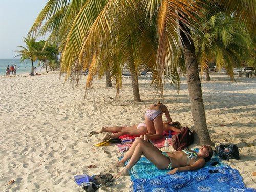 Roatan 118.jpg