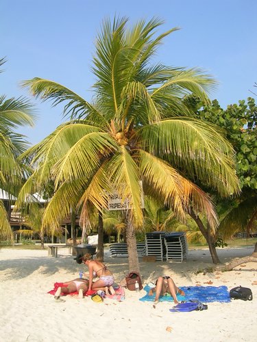 Roatan 119.jpg