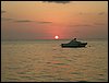 Roatan 020.jpg