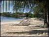 Roatan 038.jpg