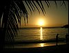 Roatan 052.jpg