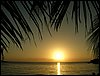 Roatan 056.jpg