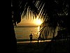 Roatan 057.jpg