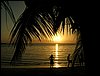 Roatan 059.jpg