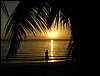 Roatan 061.jpg