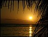 Roatan 063.jpg