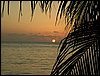Roatan 065.jpg