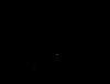 Roatan 080.jpg