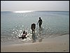 Roatan 104.jpg