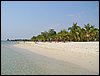 Roatan 112.jpg