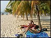 Roatan 118.jpg