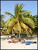 Roatan 119.jpg