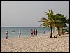 Roatan 120.jpg