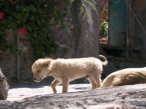 Guanajuato 008.jpg