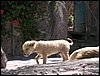 Guanajuato 008.jpg