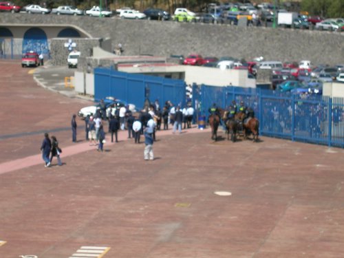 MC 024.jpg