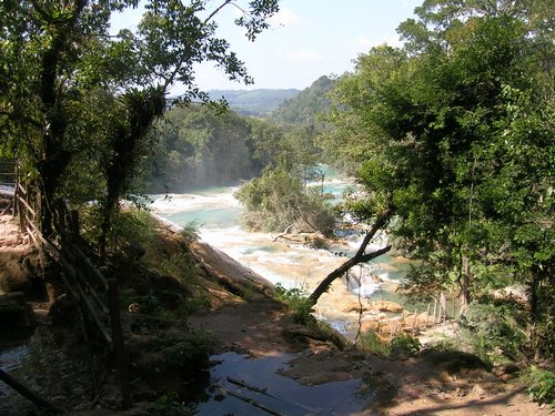palenque 014.jpg